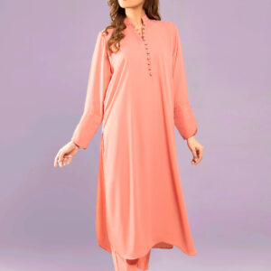 Elegant Georgette  2 Piece – Cotton Suit